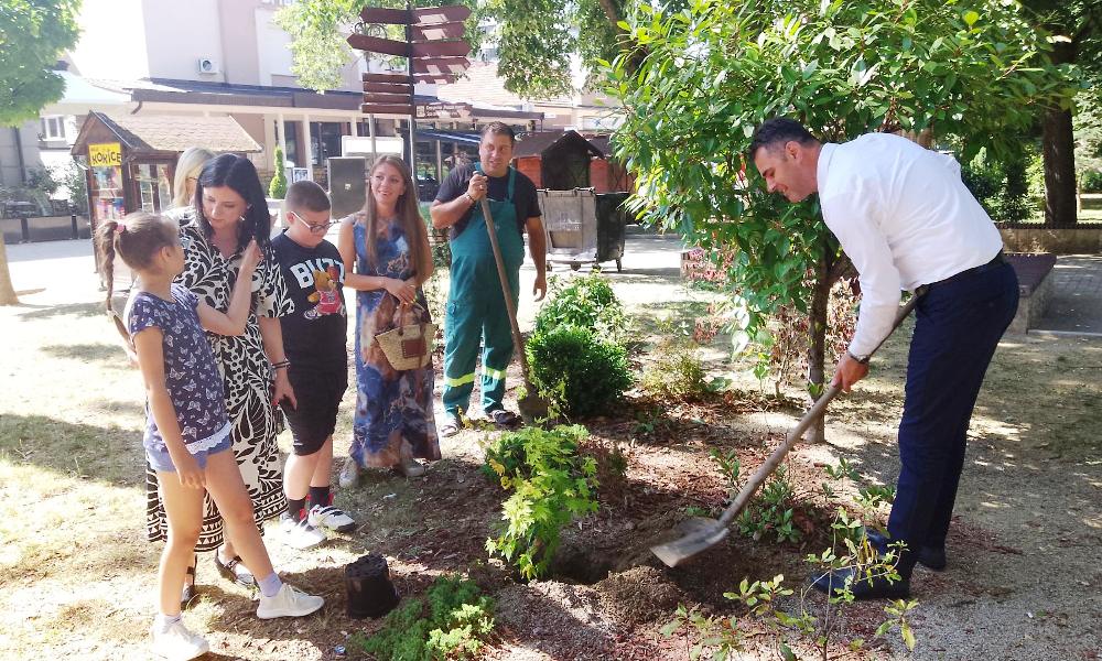 Врњачки парк богатији за један украсни јавор