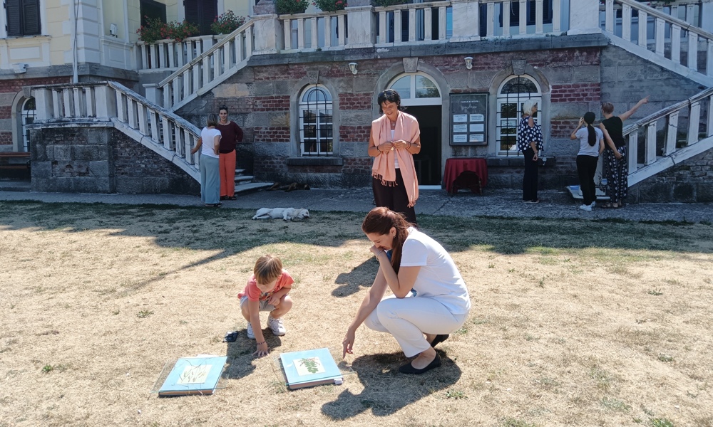 Атрактивно осликавање цијанотипијом