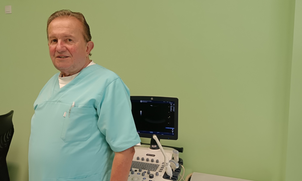 Проф. др Алекса Андрејевић