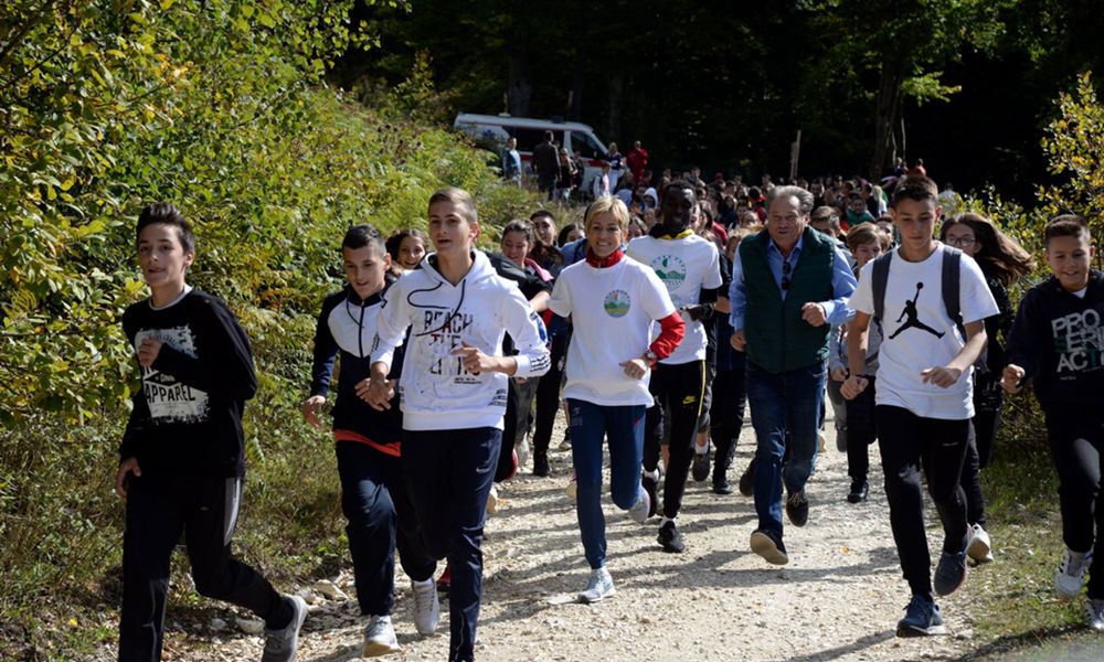 Дани шумског велнеса