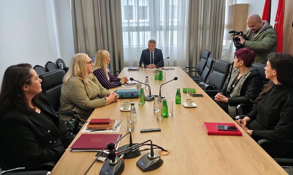 систем подршке породици и раном развоју деце