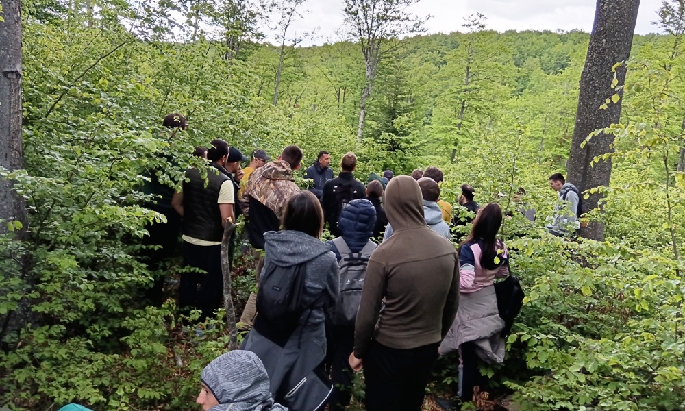 Теренска настава студената шумарства